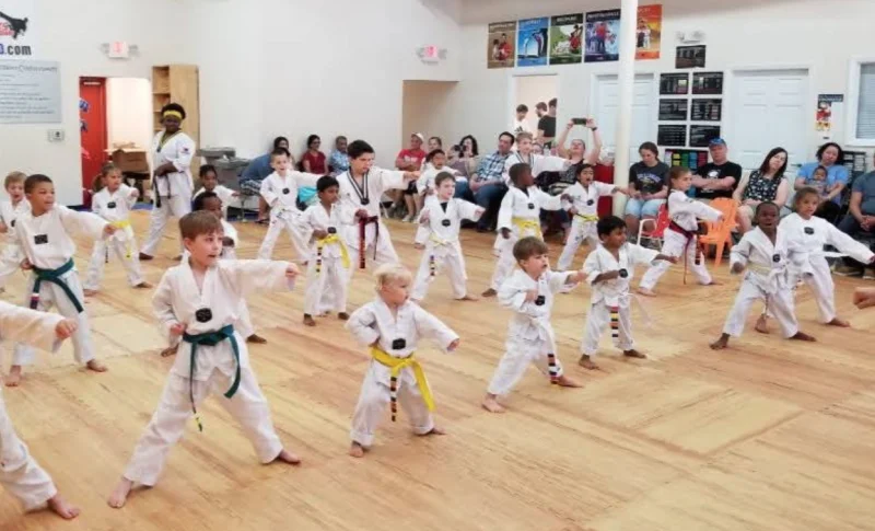 KICKS Tae Kwon Do -  - Poster