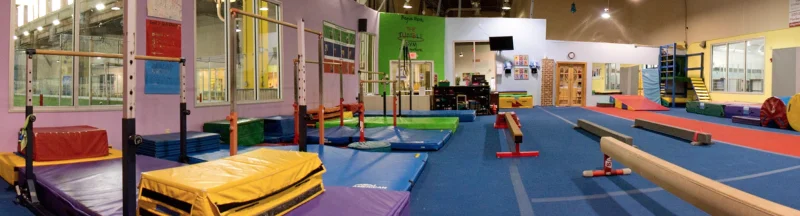 The Tumble Gym @ Lake Boone Gymnastics -  - Poster