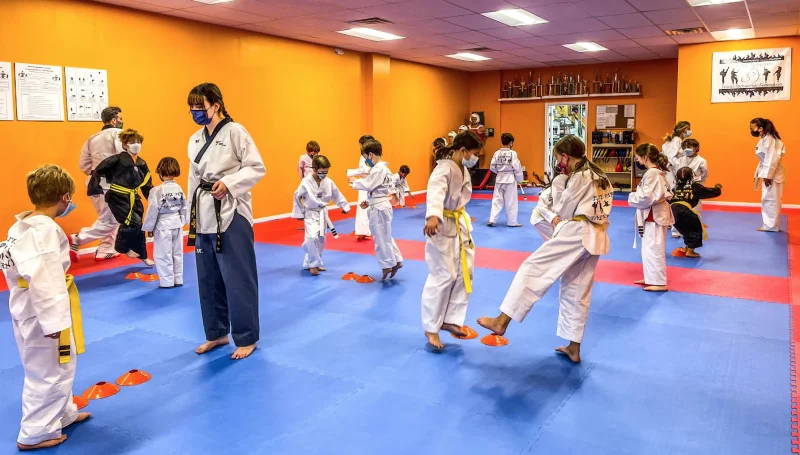 Elite Fire Taekwondo -  - Poster