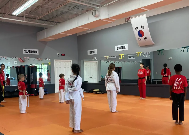 Master Chang's Martial Arts North Ridge -  - Poster