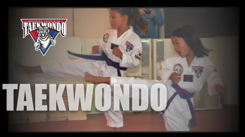 White Tiger Taekwondo & Martial Arts -  - Poster