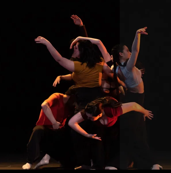 Dynamix Performing Arts Academy -  - Poster