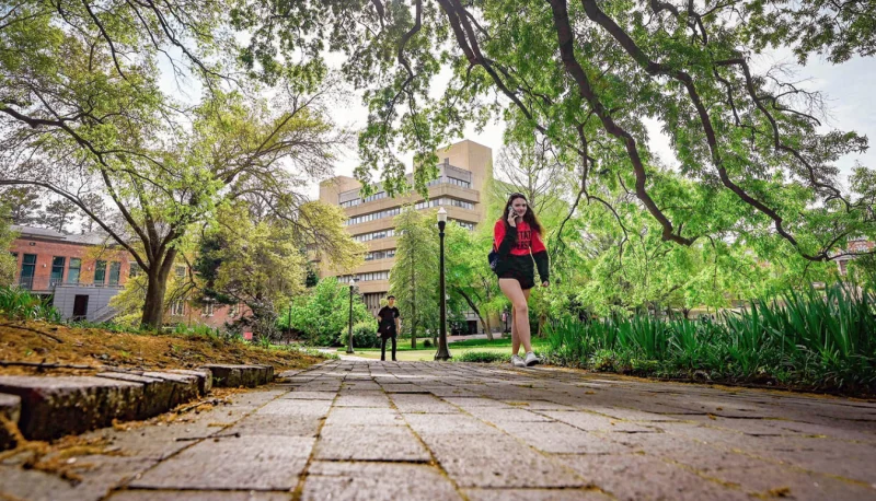 Summer Study Skills Camps at NC State University -  - Poster