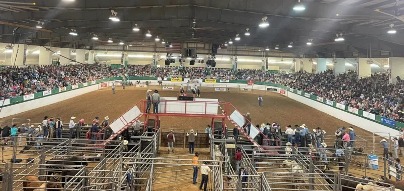 Summer Horse Camp at Carousel Farms Arena -  - Poster